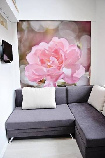 Фото номера Лофт Апартаменты Lofts - Kaunas airport г. Кармелава 38